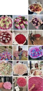 Coral Flowers Instagram Feed